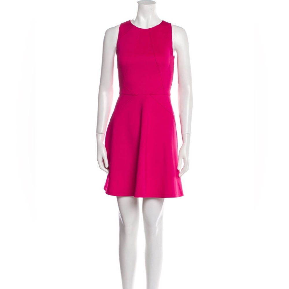 Ted Baker London Barbie pink size 0 dress